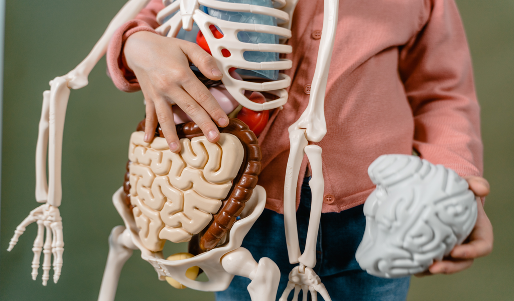 Can Supplements Help Manage Or Prevent Osteoporosis