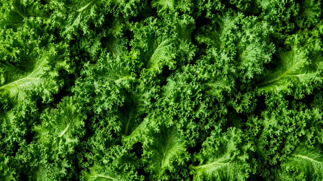 Why Your Body Needs Vitamin K