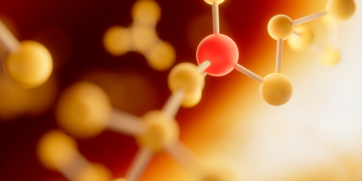 Essential vs. Non-Essential Amino Acids – What’s the Difference