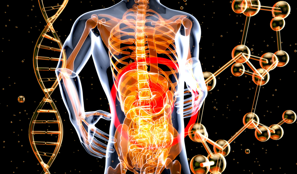 Importance Of Having A Healthy Liver And How Slow Liver Health Can Help