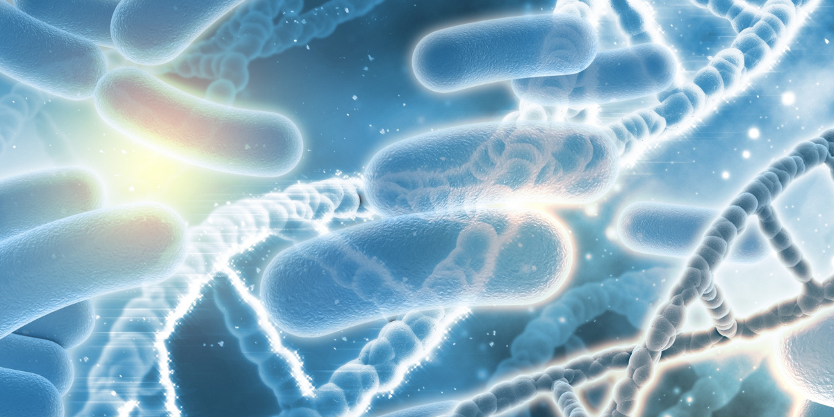 The Role of Probiotics and Prebiotics in Managing Acidity