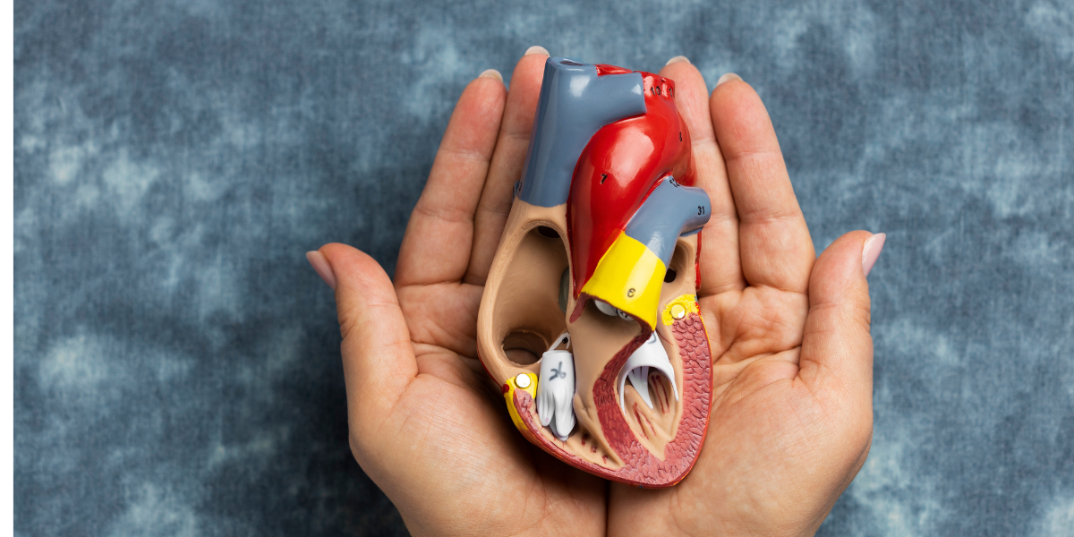 Causes of High Cholesterol