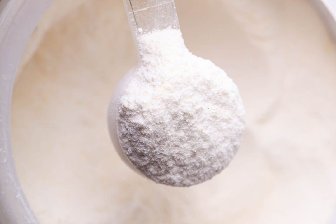 Creatine for Beginners