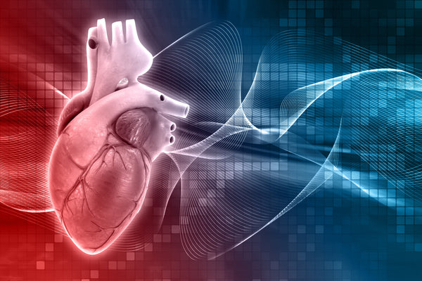 Plant Sterols for cholesterol