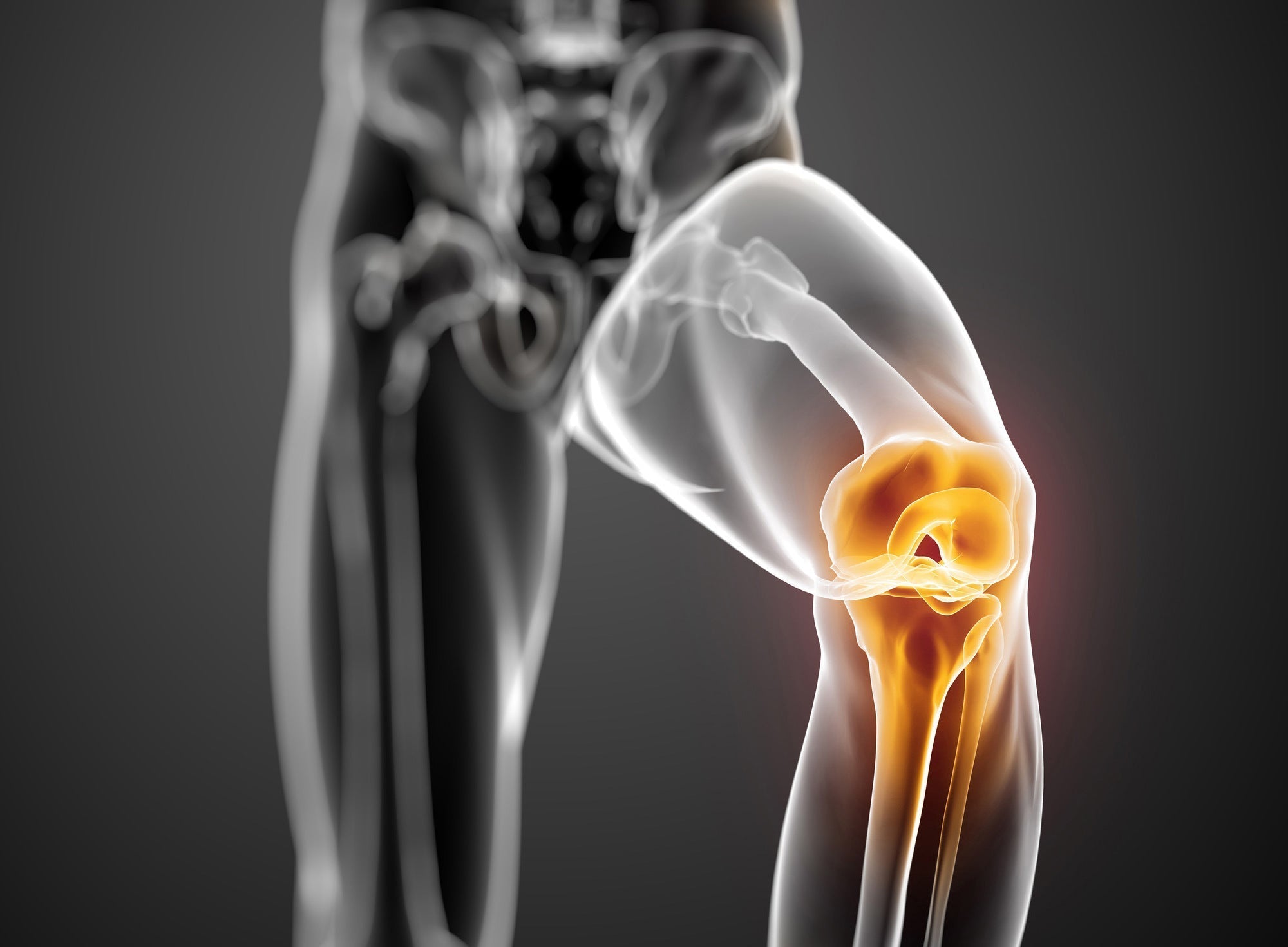 Marine Collagen Benefits for Bone and Joint Health