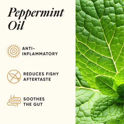 files/03_INGREDIENTS_OMEGA_4X_af54c5e6-657b-4581-87ff-0dc6e124c789.jpg