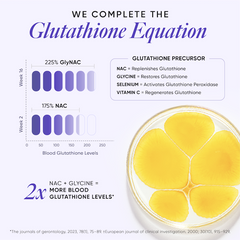 glutathione equation