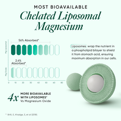 chelated liposomal magnesium