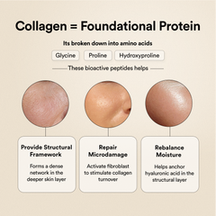 bioactive peptides showing results