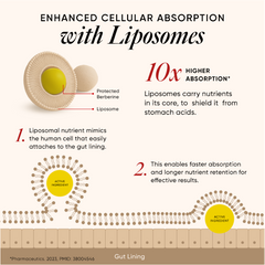 Liposomal Berberine HCL+