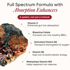 iron supplement with vitamin c