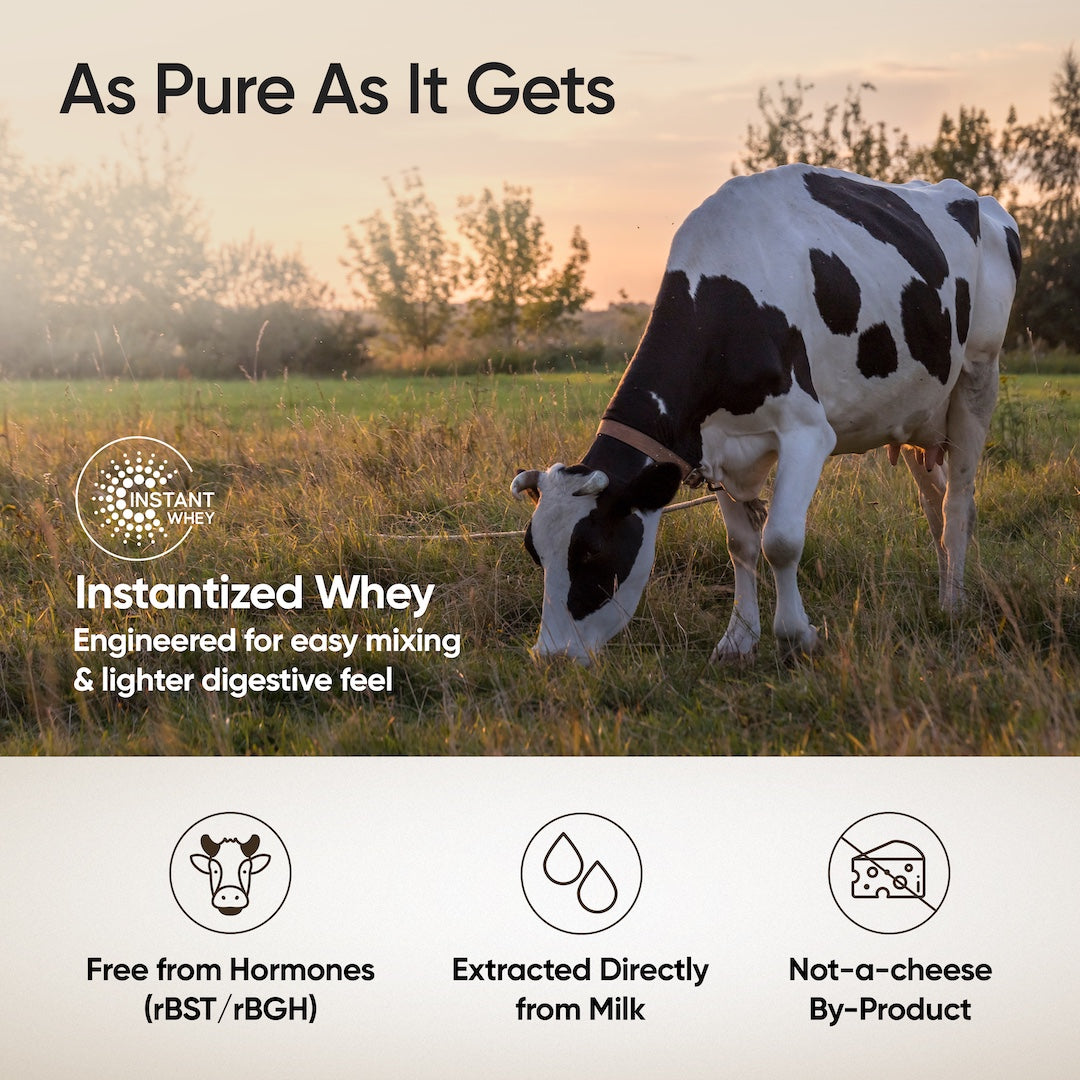 instantized whey