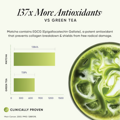 matcha vs green tea