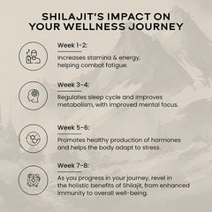 Shilajit Resin