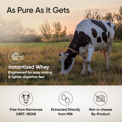Whey Protein Isolate + Concentrate 24g | 1kg | 4B CFU Probiotics | Mango Flavoured