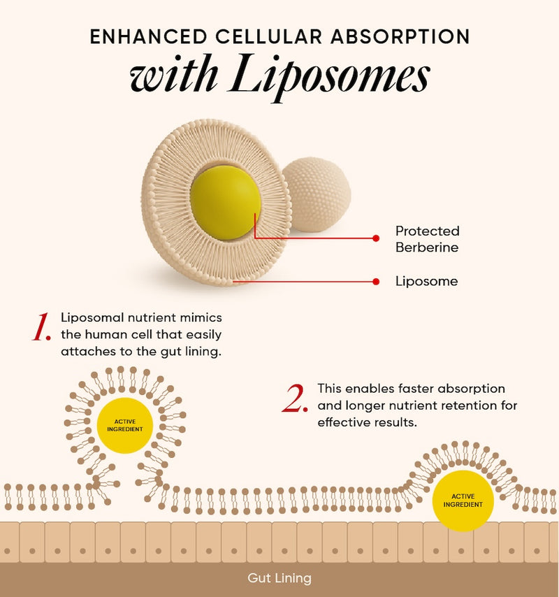 10x Higher Absorption* With liposomal technology
