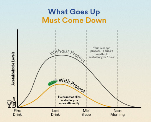 Bounce Back Faster 
