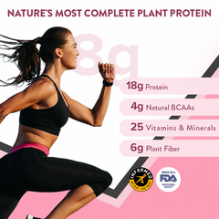 Her Superfood Plant Protein | Chocolate Peanut Butter