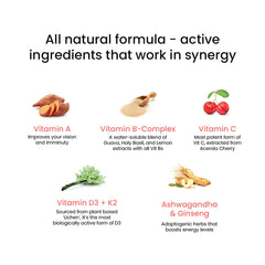 ingredients of melts multivitamins