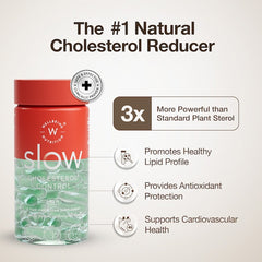 Cholesterol Control Slow