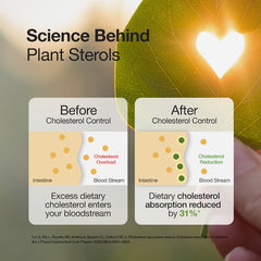 Cholesterol Control Slow