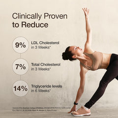 Cholesterol Control Slow