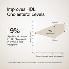 Cholesterol Control Slow