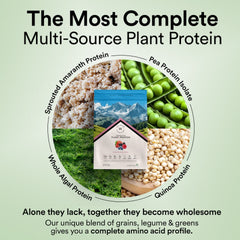 multi-sourced vegan protein 