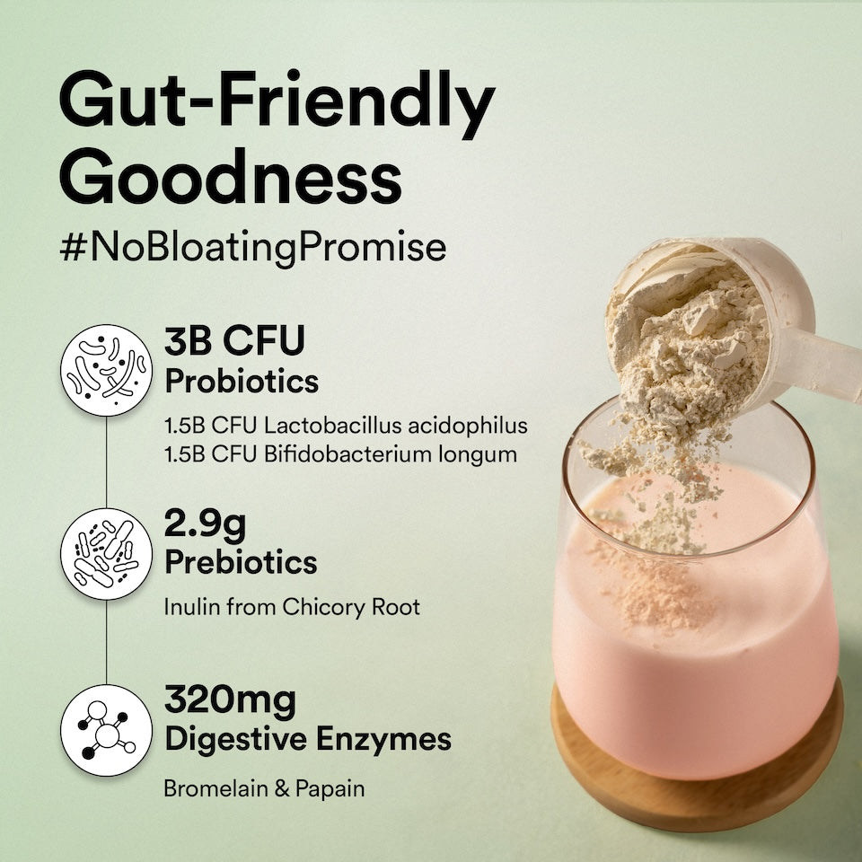 gut friendly vegan portein