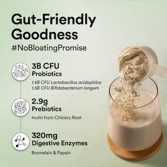 gut friendly plant protein with no bloating