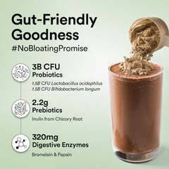 plant protein with digestive enzymes