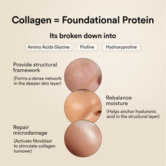 Korean Marine Collagen - Blueberry Mint