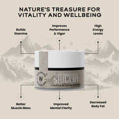 Shilajit Resin 10gm