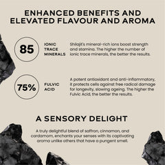 Shilajit Resin 10gm