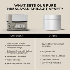 Shilajit Resin 10gm
