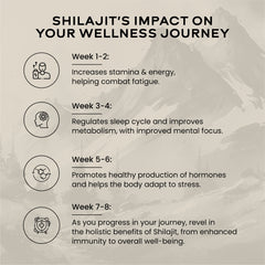 Shilajit Resin 10gm