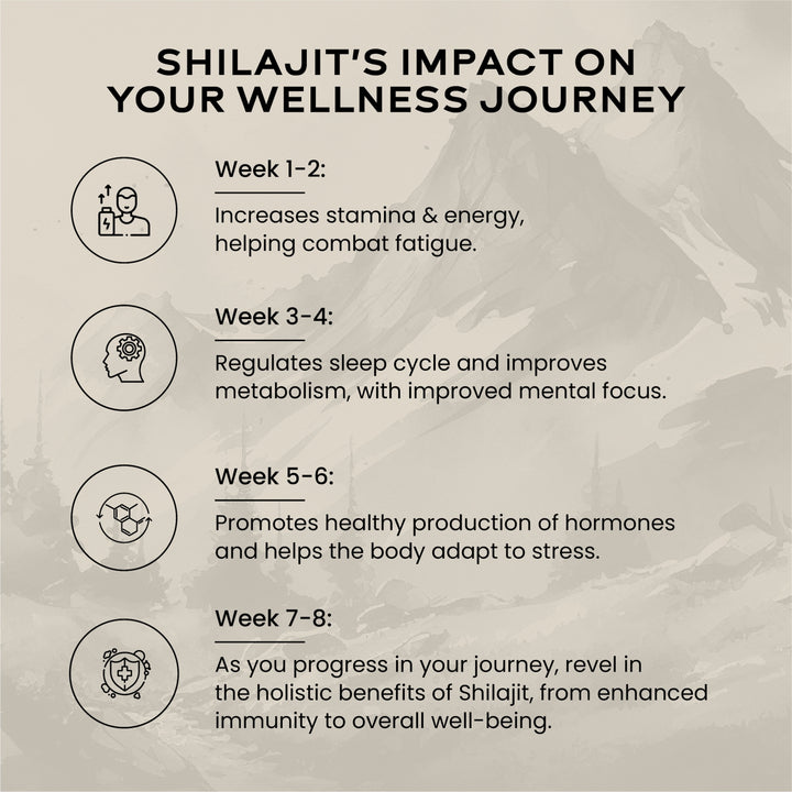 Shilajit Resin 10gm
