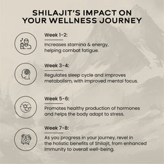 Shilajit Gold 10gm