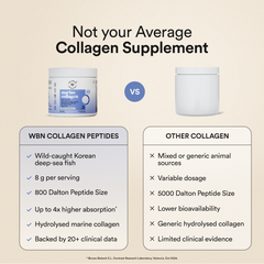 Korean Marine Collagen - Blueberry Mint