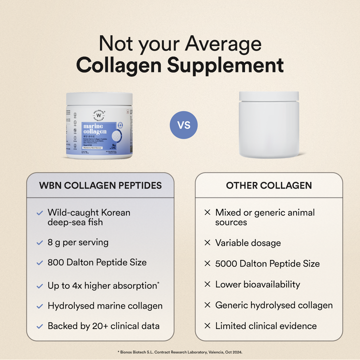 Korean Marine Collagen - Blueberry Mint