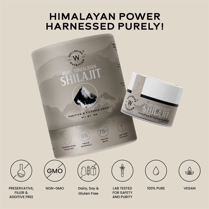 Shilajit Resin 10gm