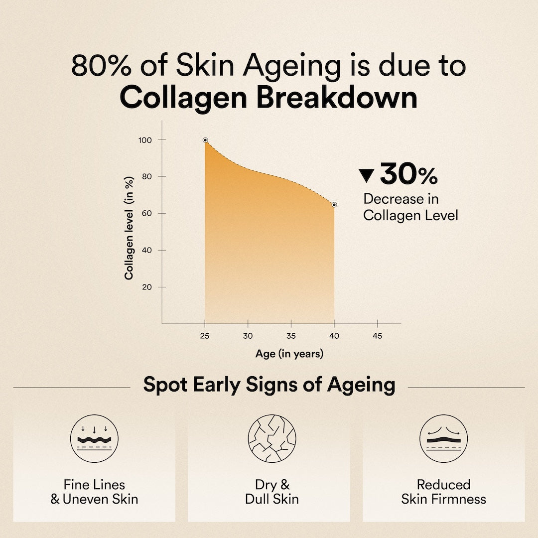 collagen breakdown