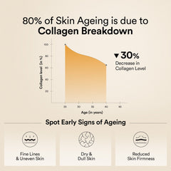 collagen breakdown