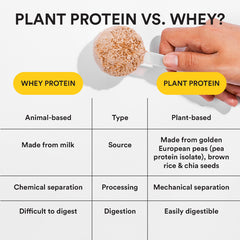 plant protein vs whey difference